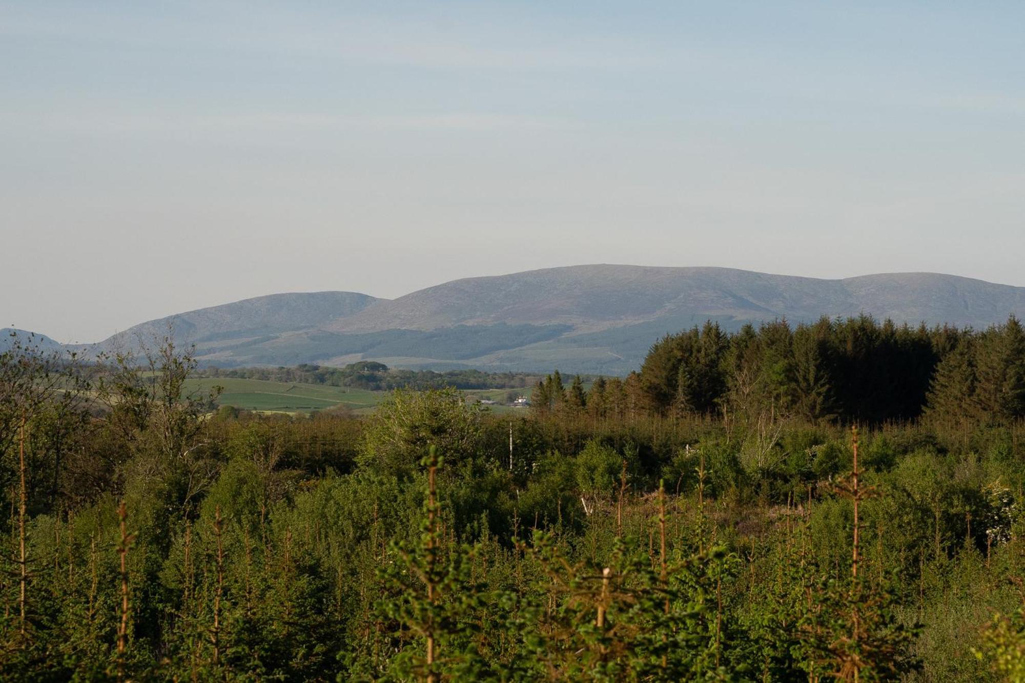 Wigtown By Wigwam Holidays 뉴튼스튜어트 객실 사진